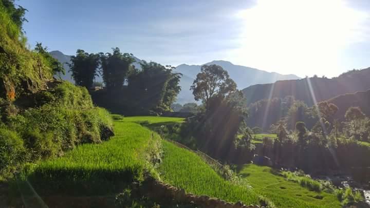 Nguyen Dang Guesthouse Sa Pa Zewnętrze zdjęcie