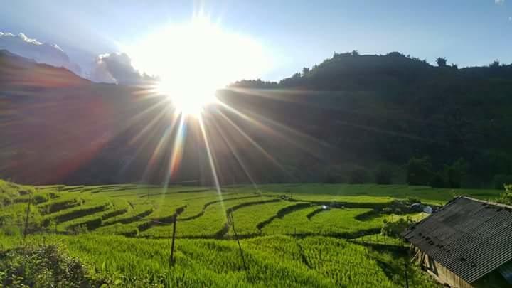 Nguyen Dang Guesthouse Sa Pa Zewnętrze zdjęcie